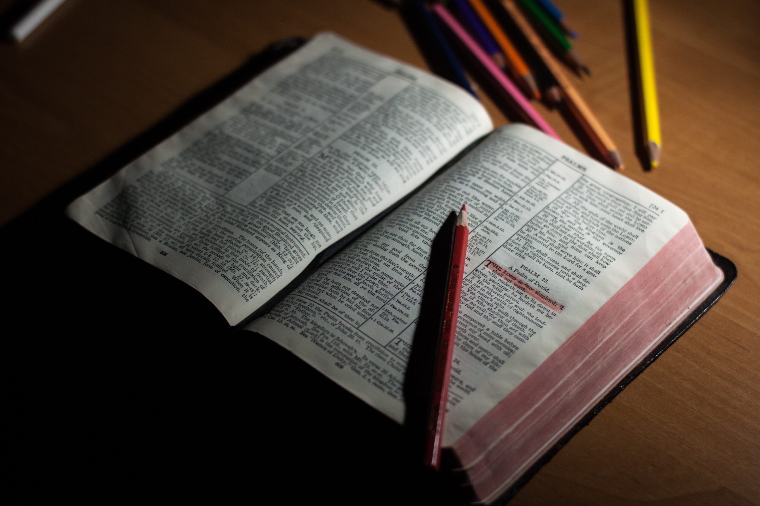pexels-johnmark-smith-272337 (1) Biblia
